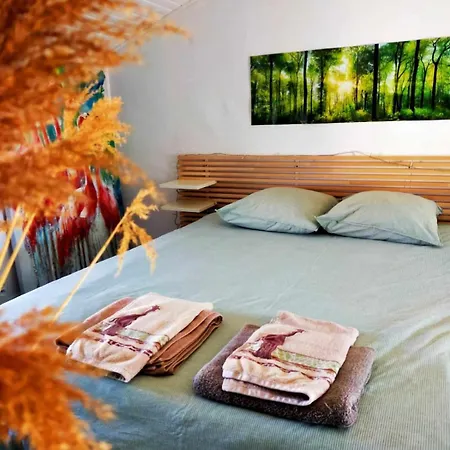 Repere Des Etoiles *